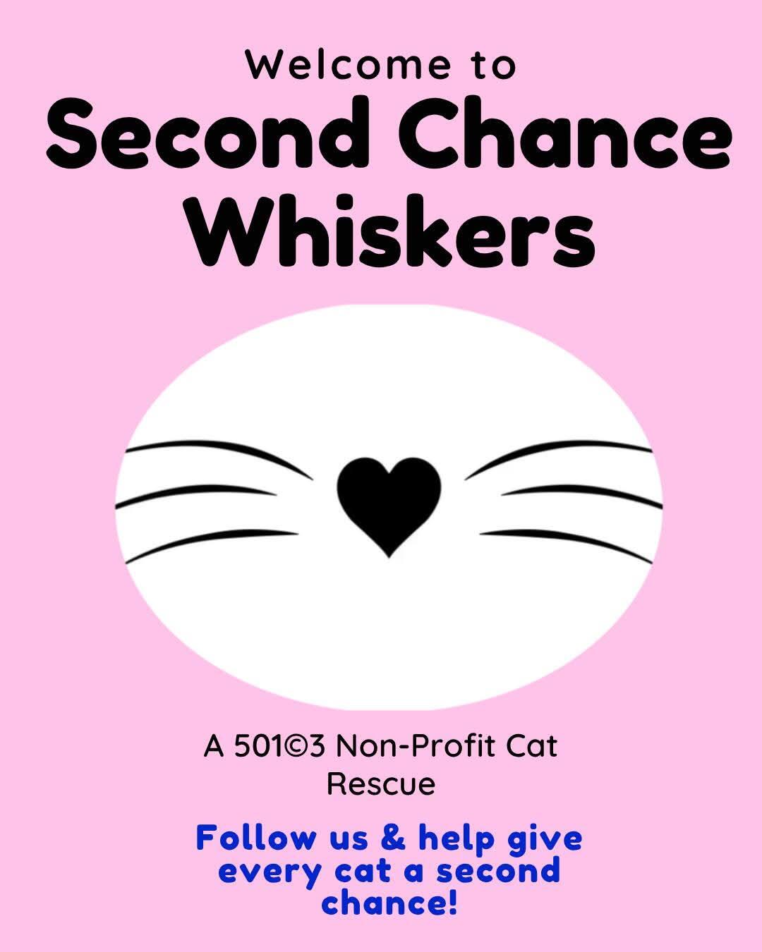 Second Chance Whiskers
