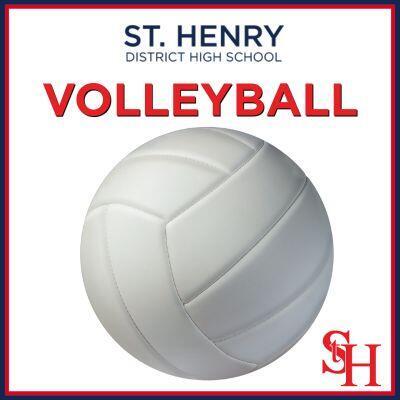 Volleyball logo