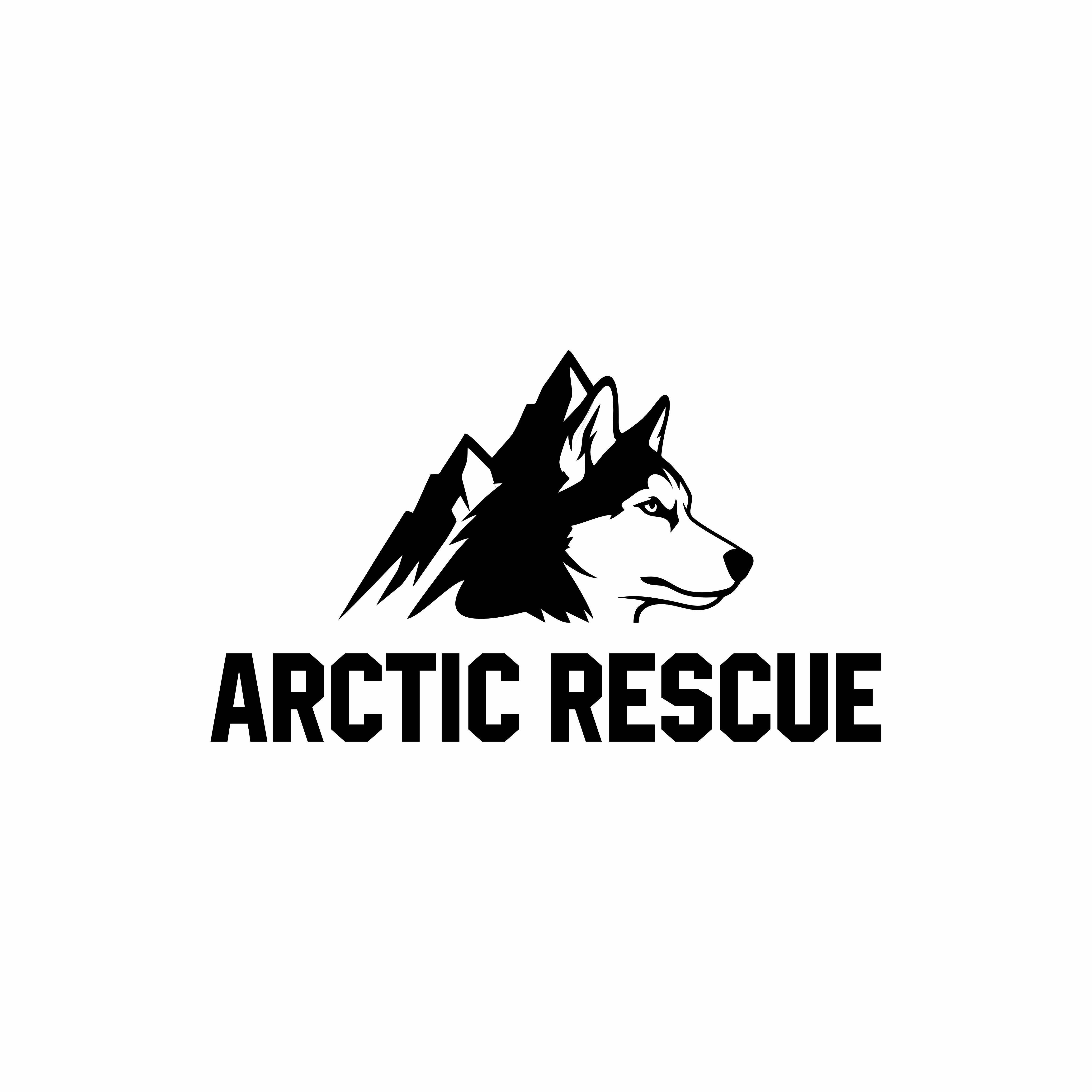 Arctic Rescue