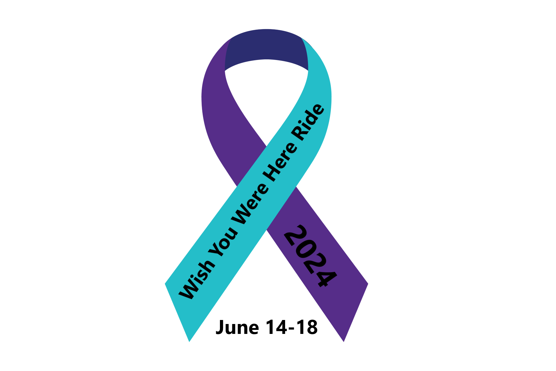 Wish You Were Here Ride 2024 Auction