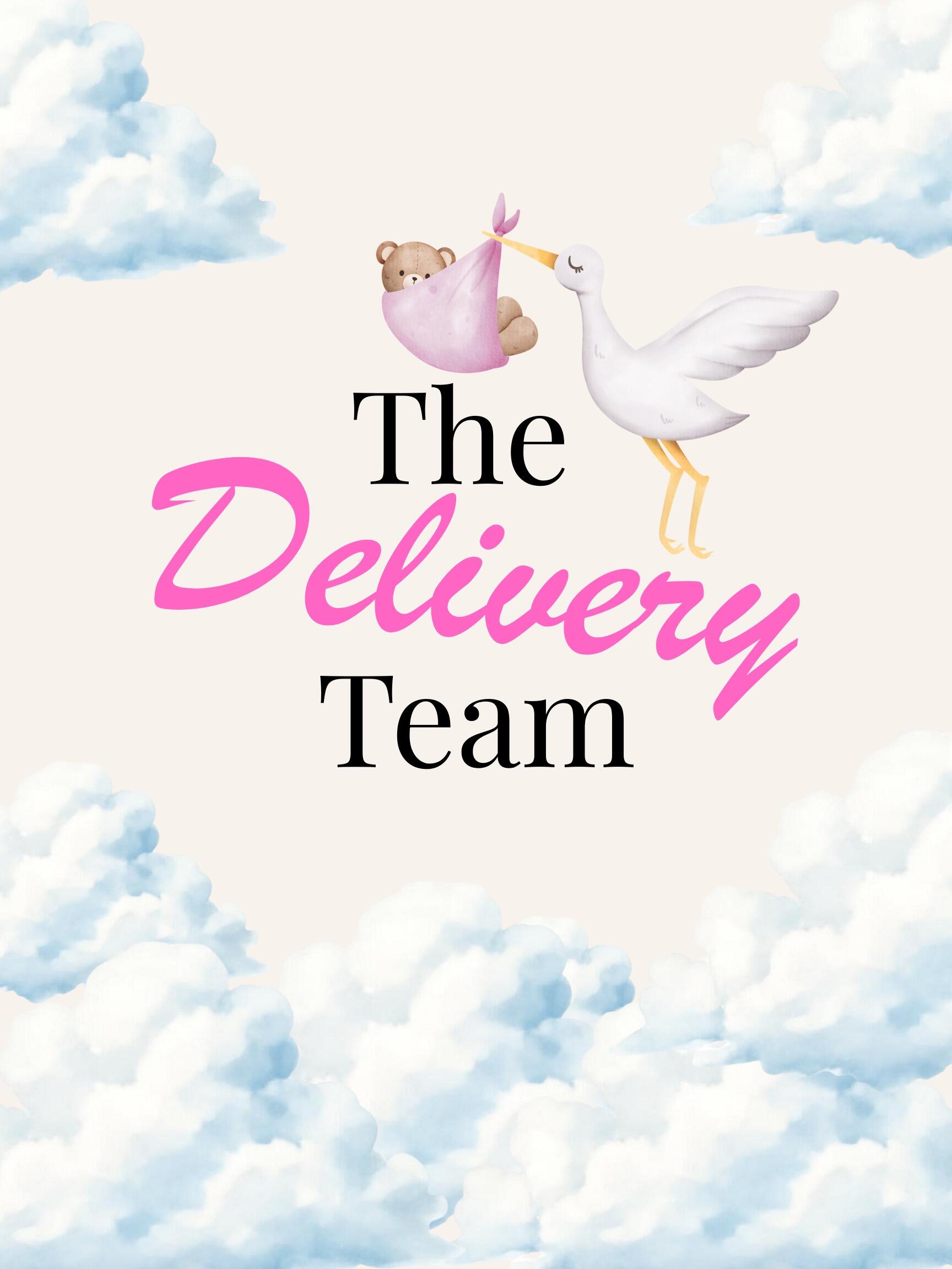 The Delivery Team logo