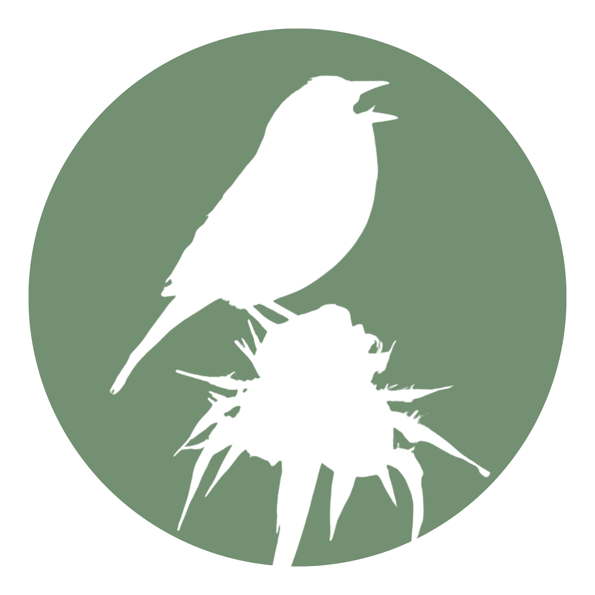 Friends of Wildcat Canyon