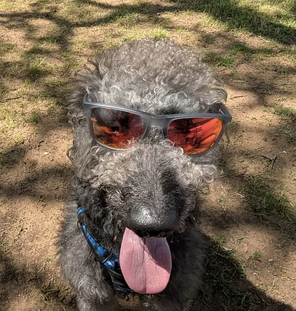 Toby | Best Smile | Josh Stroope logo