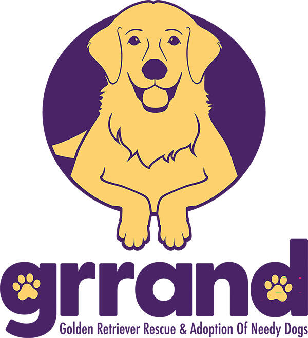 Golden Retriever Rescue & Adoption of Needy Dogs, Inc.