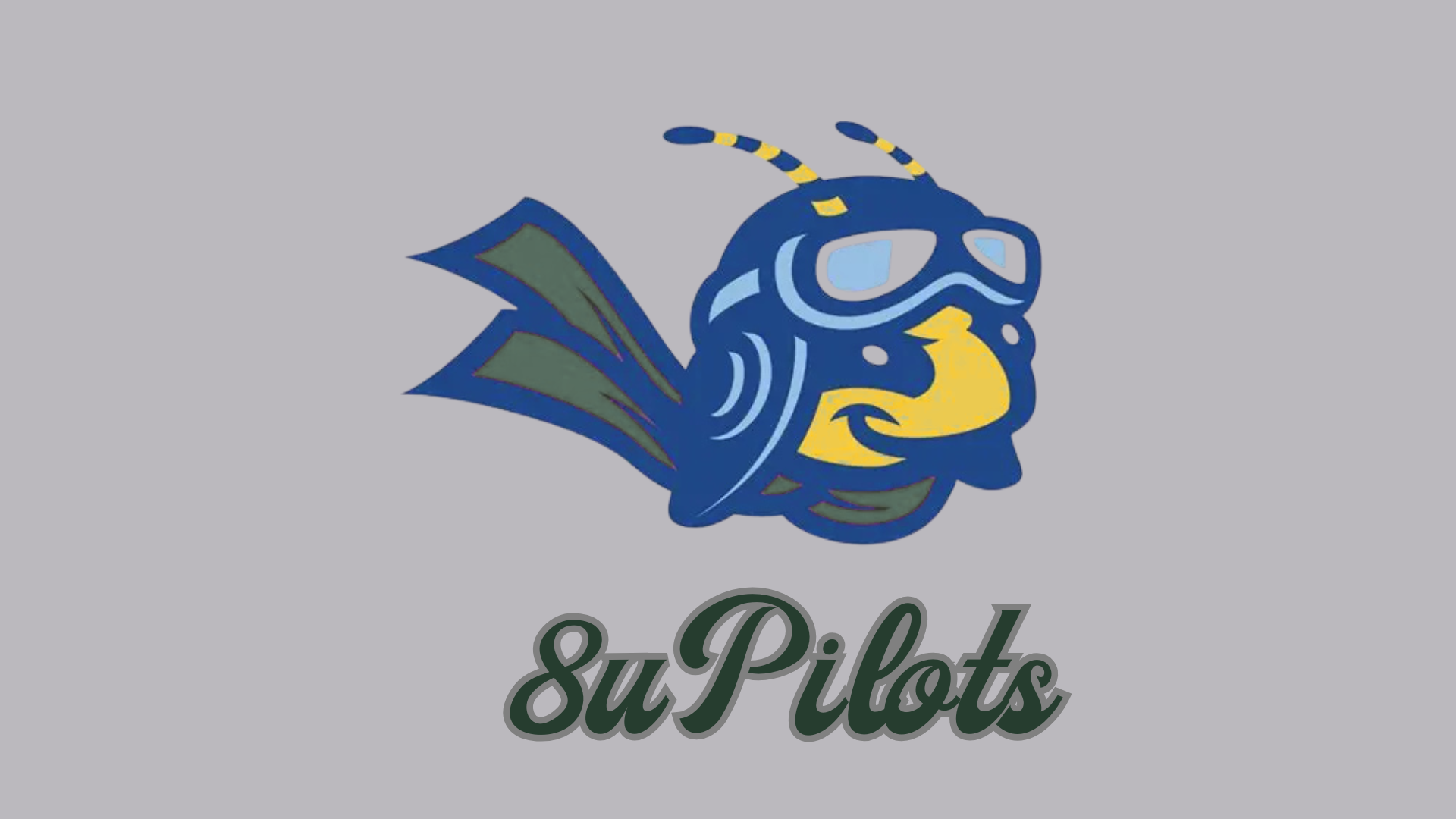 MINOR B PILOTS logo