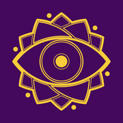 Tampa Bay Psychedelic