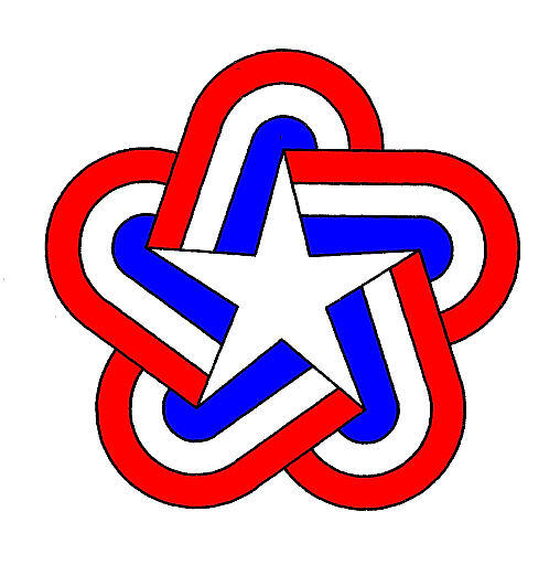 Team Freedom logo