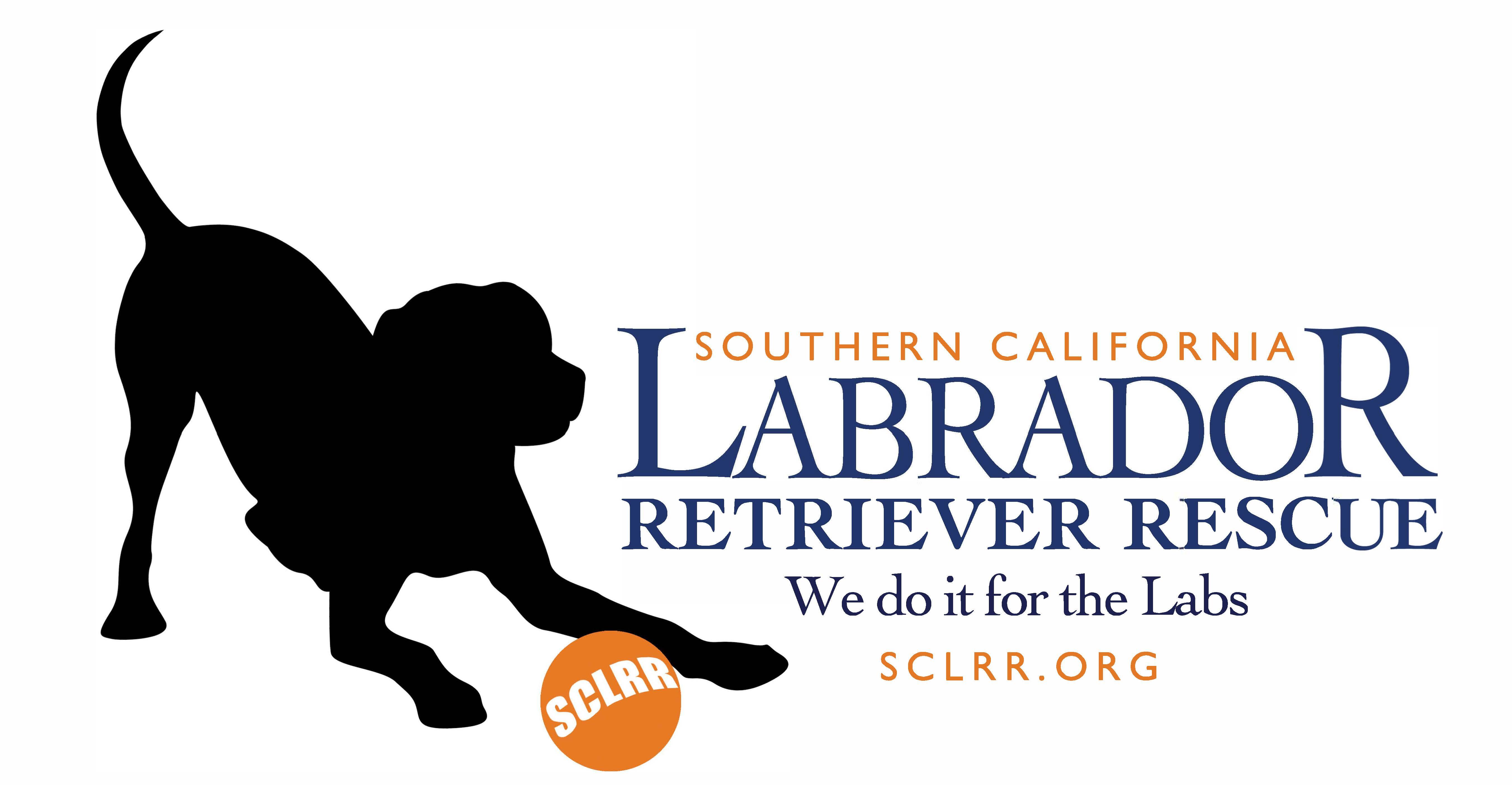 Southern California Labrador Retriever Rescue