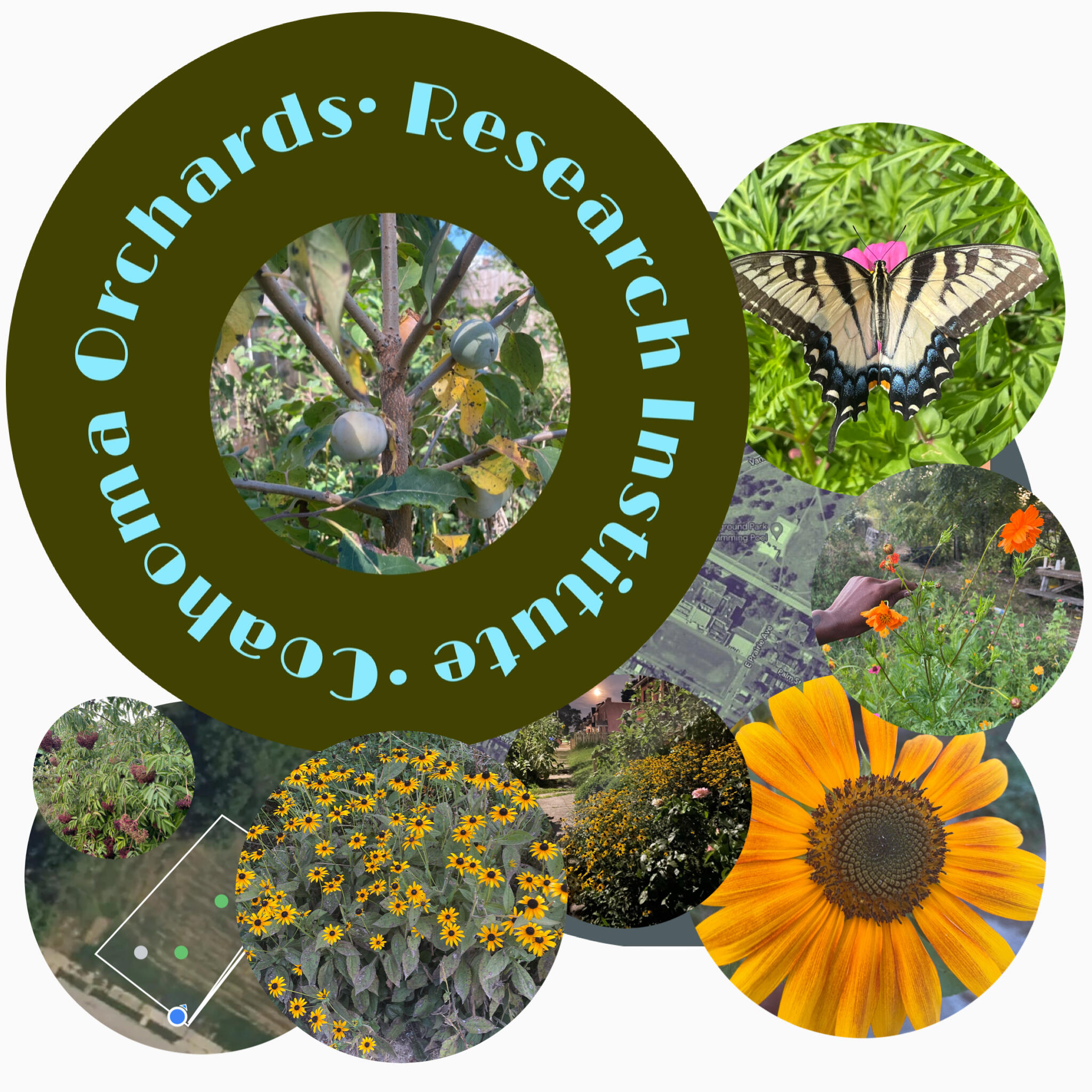 Coahoma Orchards Community Research Institute