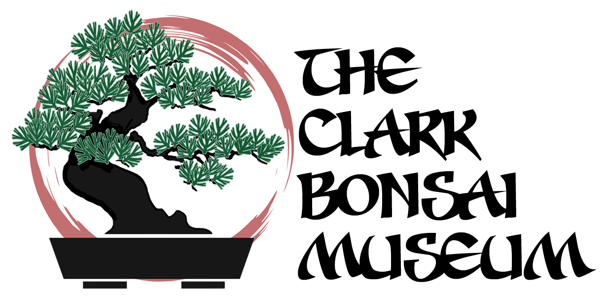 Bonsai Foundation of the Central Valley