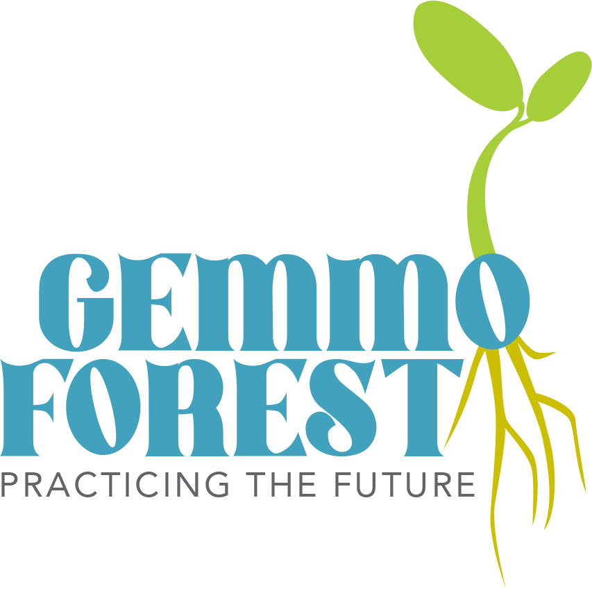 Gemmo Forest