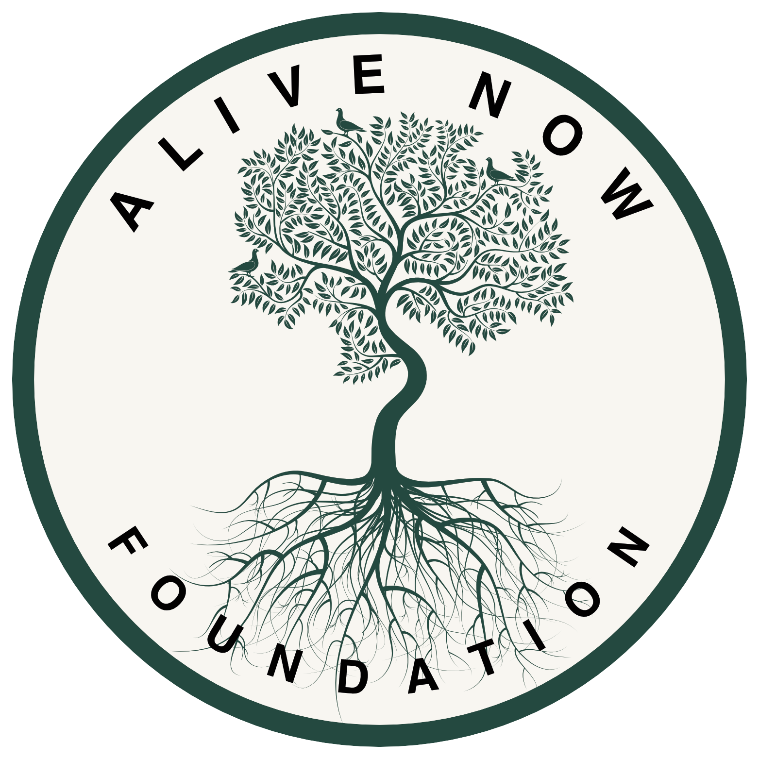 Alive Now Foundation