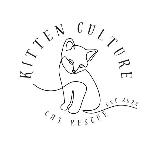 Kitten Culture Cat Rescue