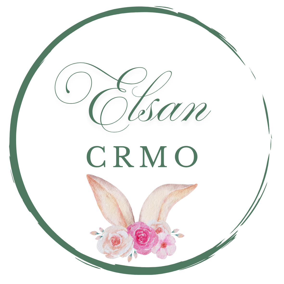 Elsa's team logo