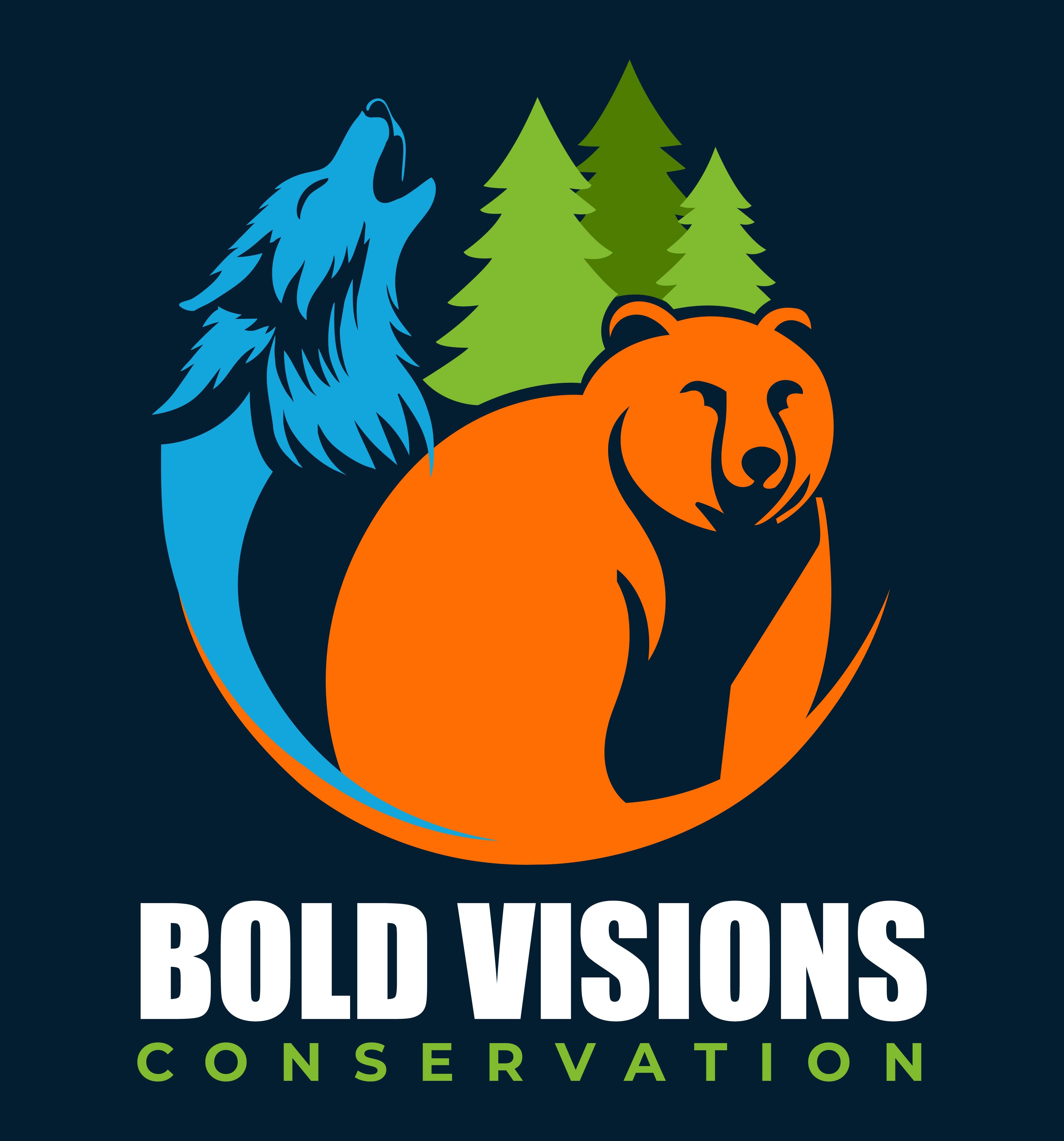 BOLD VISIONS CONSERVATION