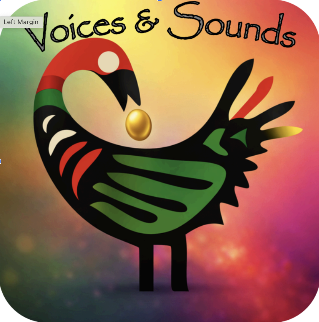 Booker T. Washington Performing & Visual Arts PTA