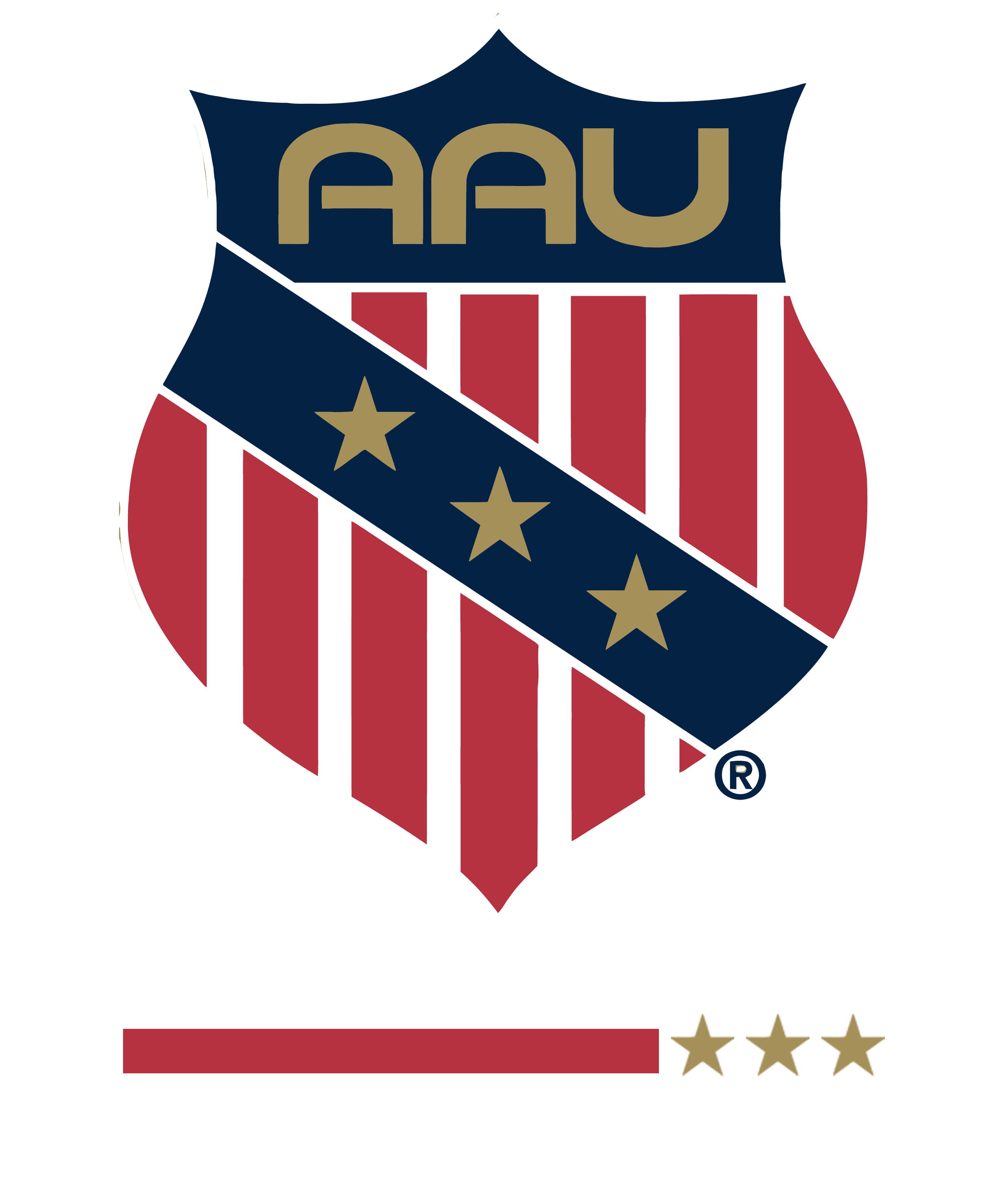 College Hockey Federation