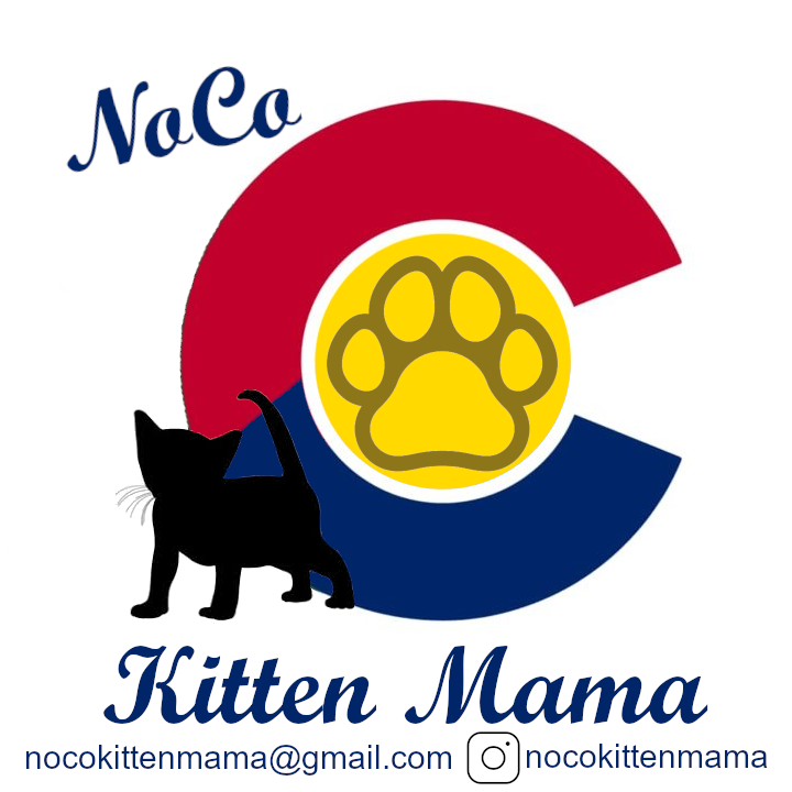 NoCO Kitten Mama