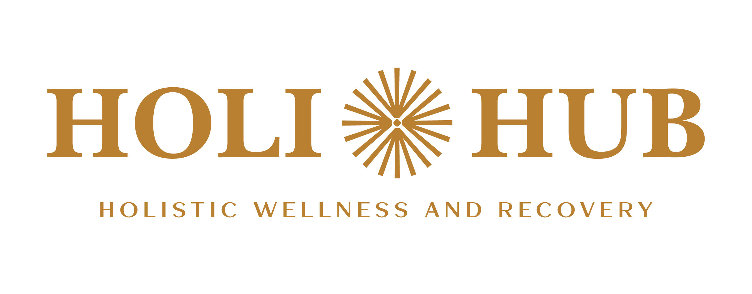 HoliHub Inc.