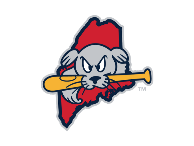 Sea Dogs Interns logo