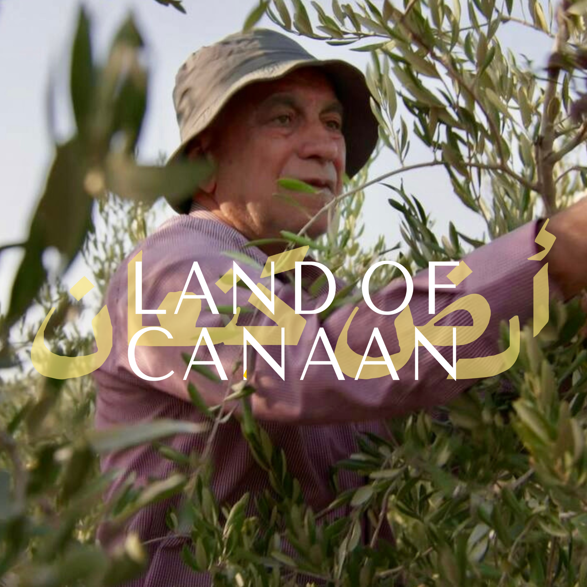 Land of Canaan Foundation