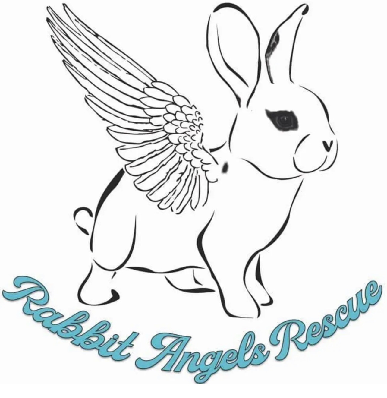 Rabbit Angels Rescue