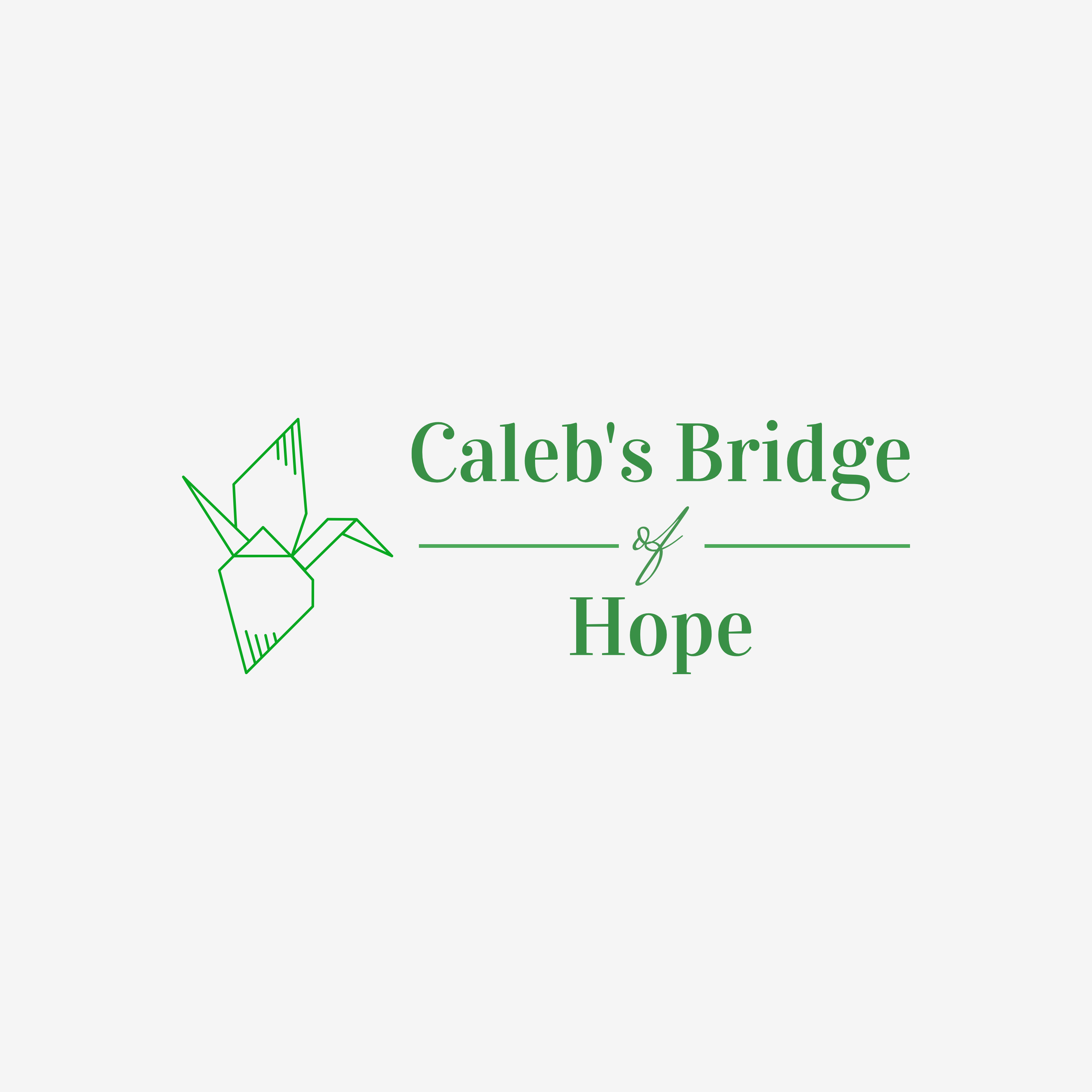 Calebs Bridge of Hope Inc