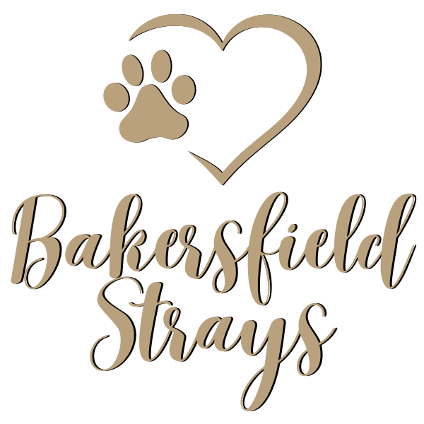 Bakersfield Strays