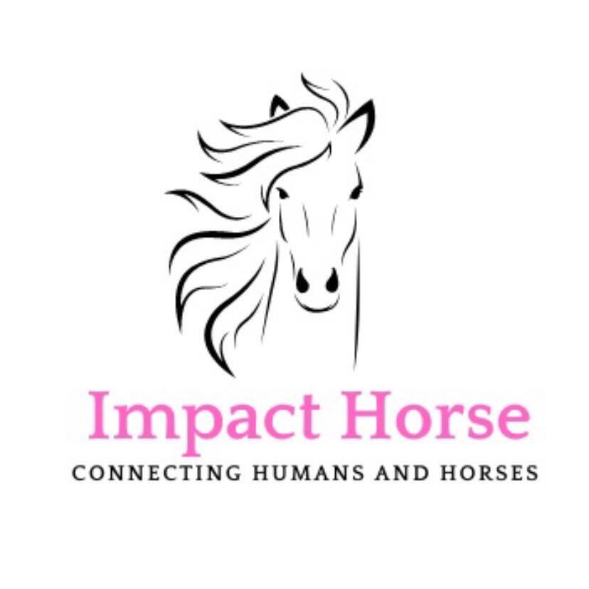 Impact Horse Connecting Humans and Horses - Impact Horse