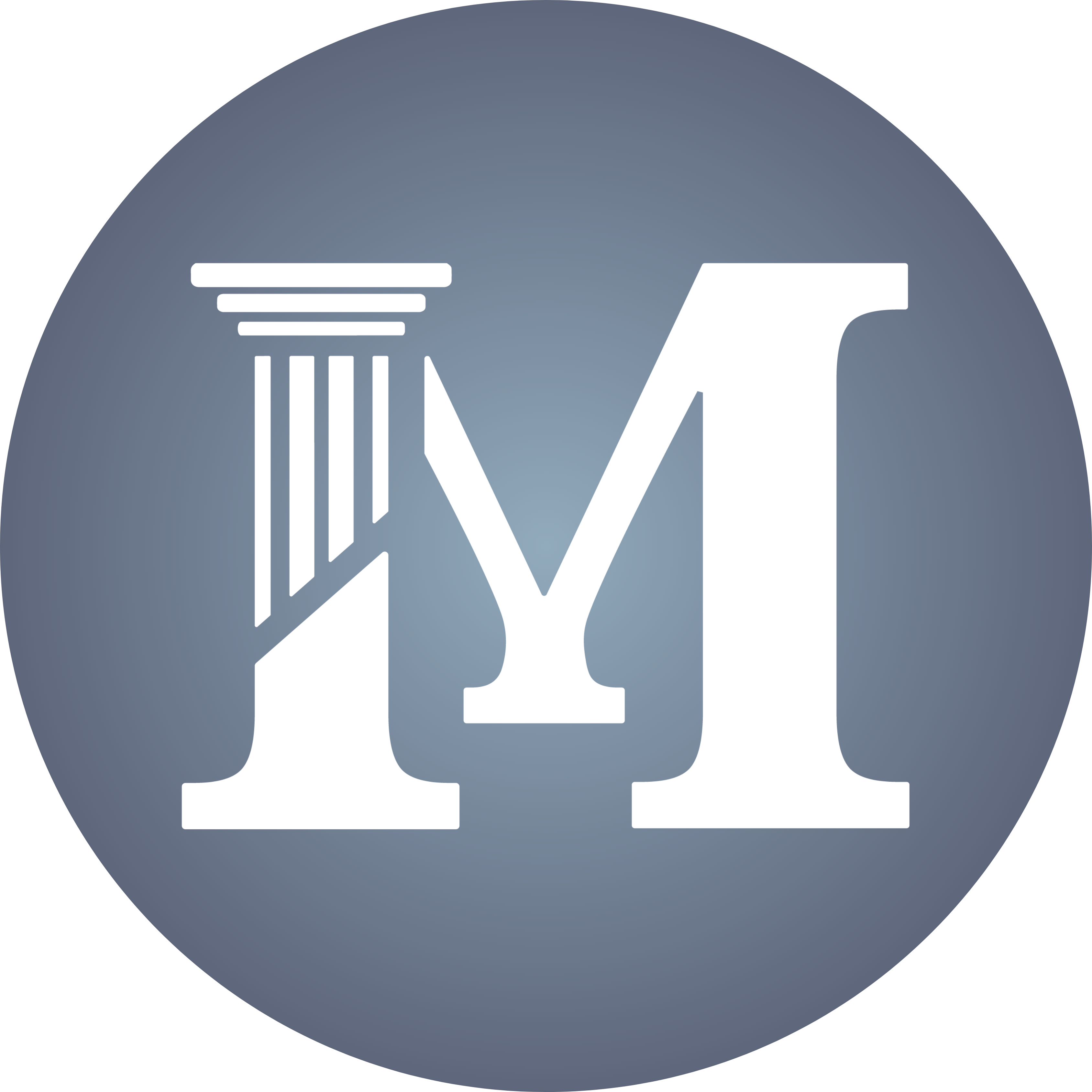 The MODMAN Foundation