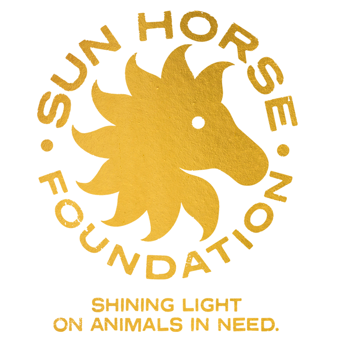 Sun Horse Foundation
