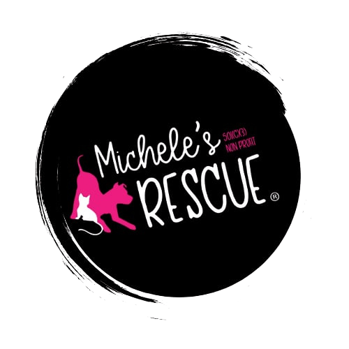 Michele's Rescue
