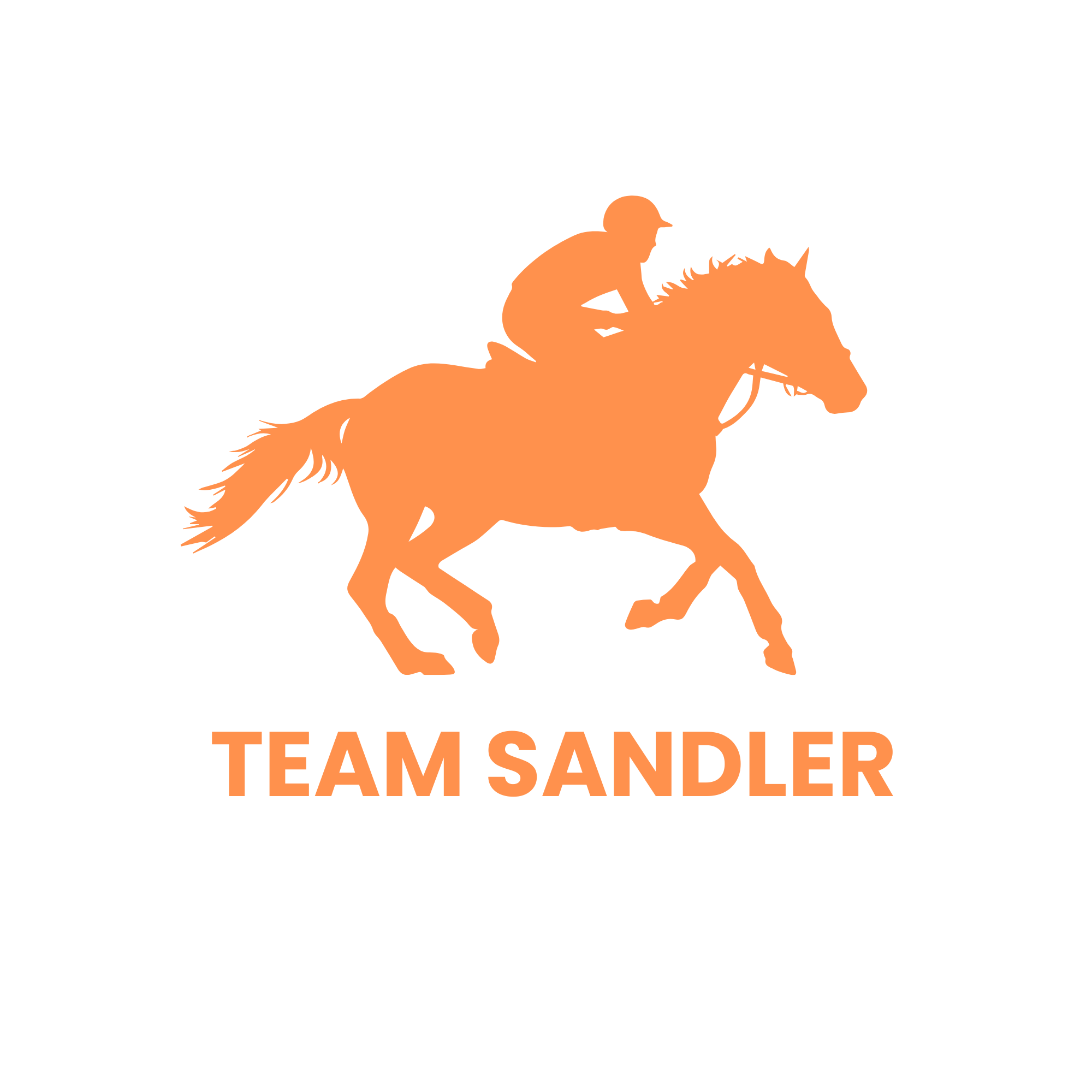 Team Sandler logo