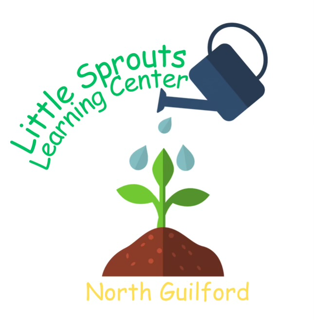 Little Sprouts Learning Center Inc