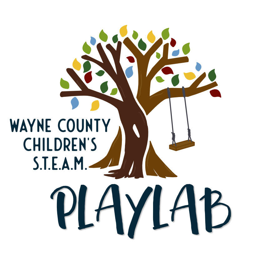 Wayne County Children's STEAM Playlab