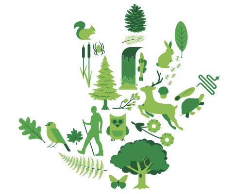 Nurturing Wonder PTO