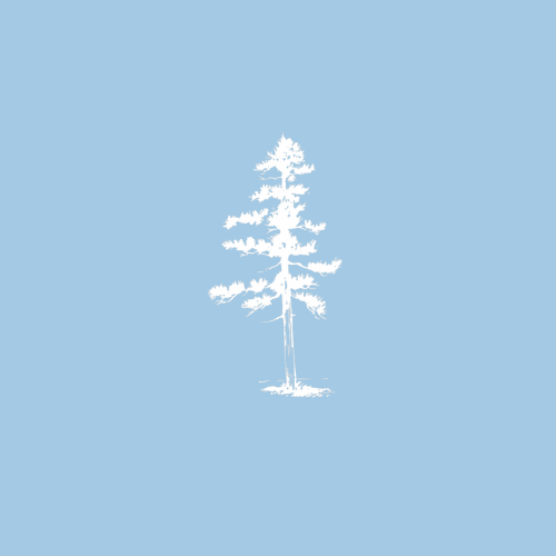 Art Society at Loblolly Acres Inc