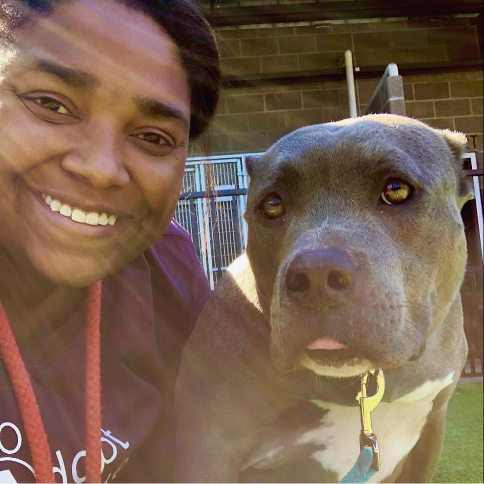 Reagan Daughtry avatar