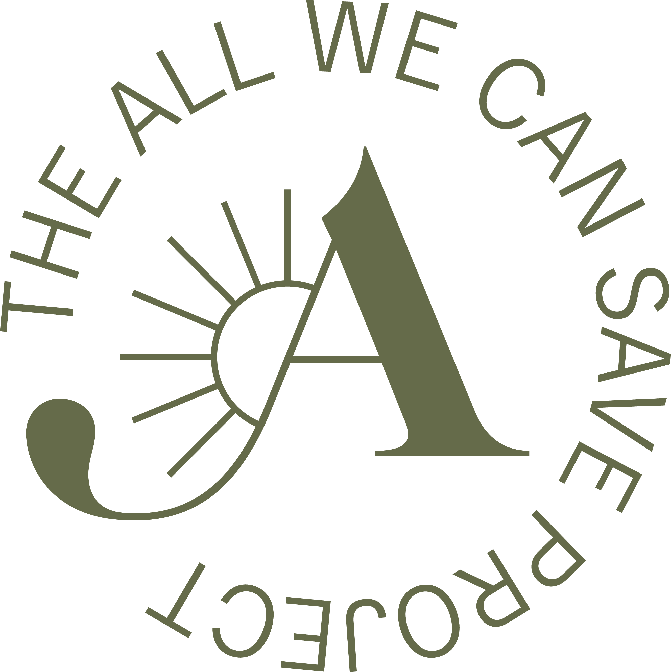 The All We Can Save Project
