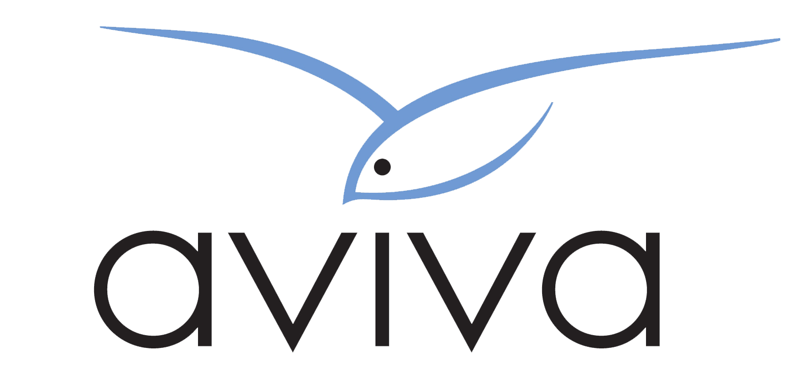 Aviva Family and Children's Services