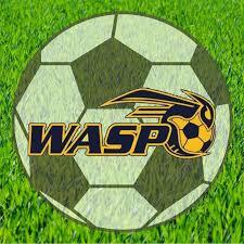 Washington Area Soccer Program