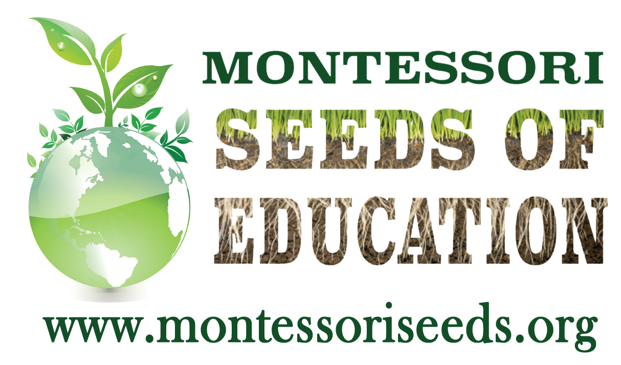 MONTESSORI SEEDS OF EDUCATION INC