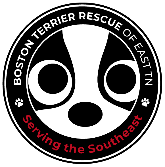 BOSTON TERRIER RESCUE OF EAST TENNESSEE