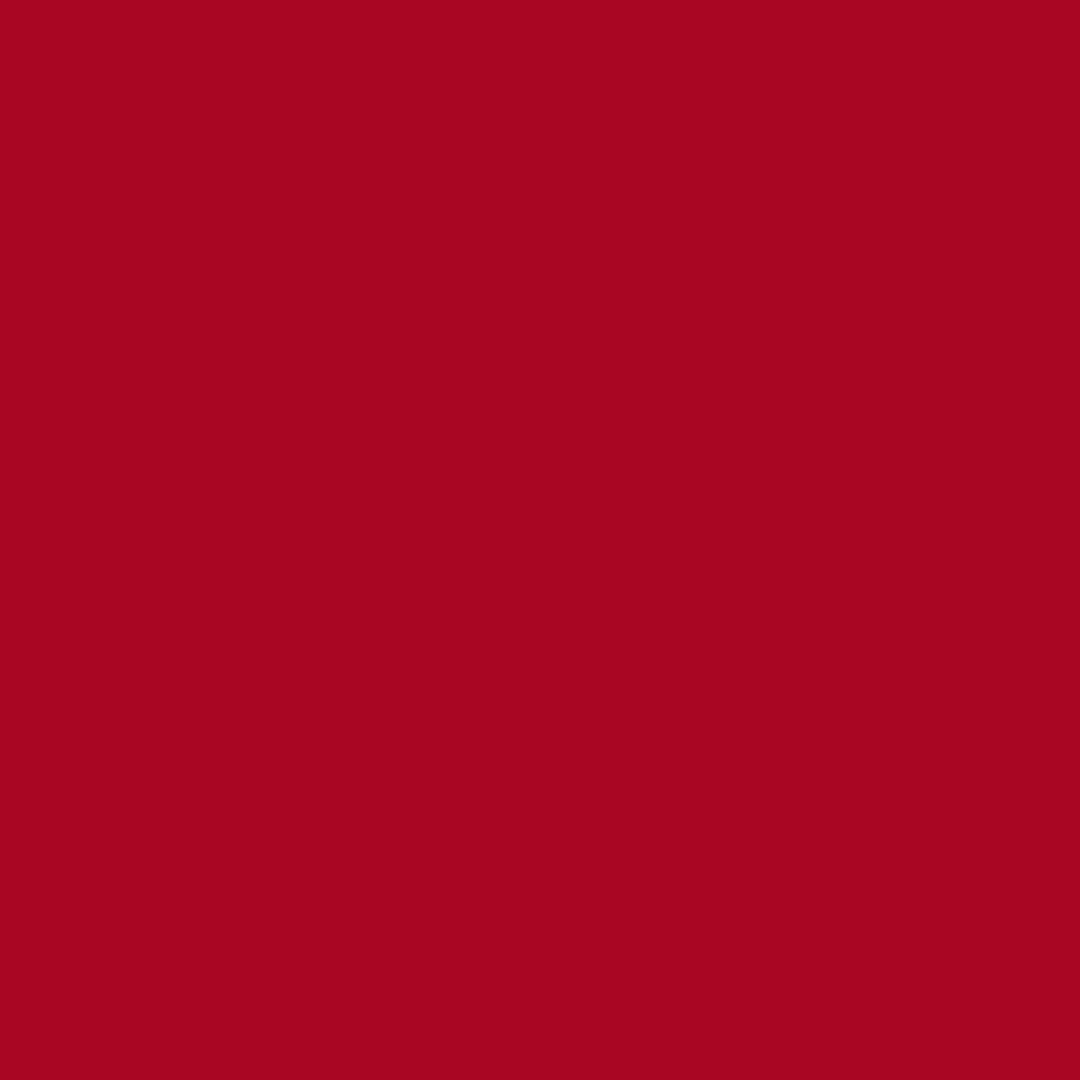 Team University of Arizona logo