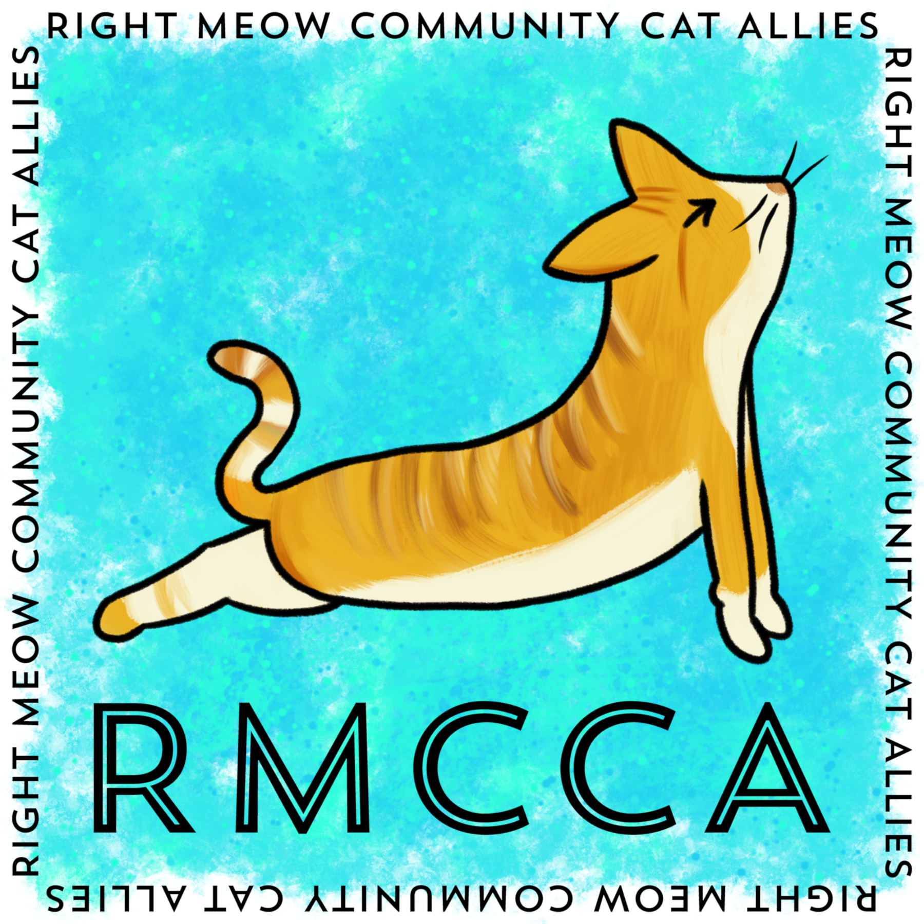 Right Meow Community Cat Allies Inc