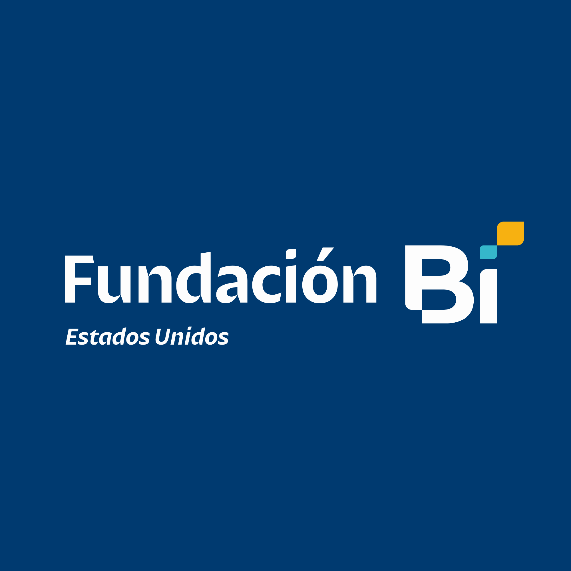 Fundacion Bi Inc