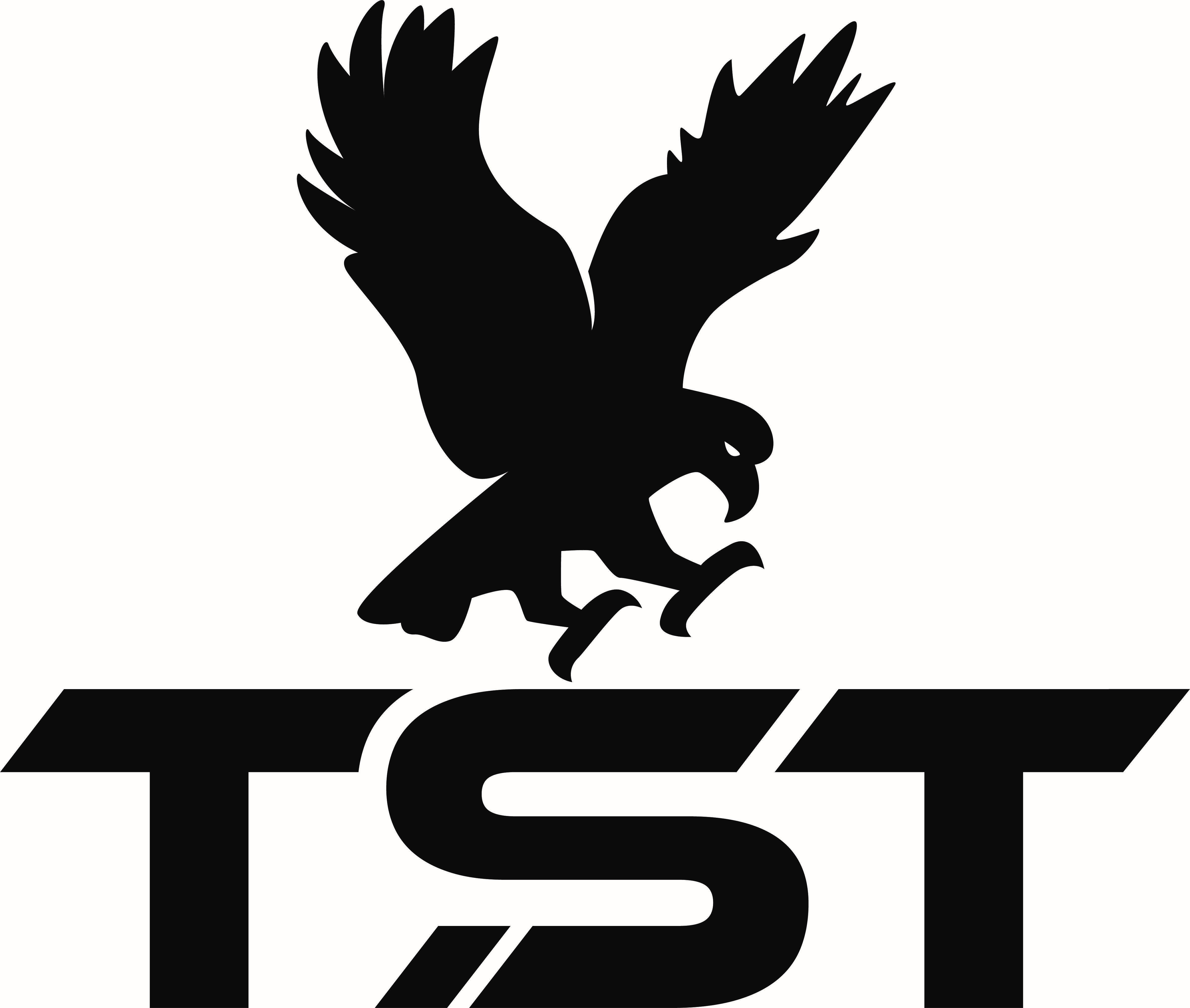 RA Holdings/TST logo