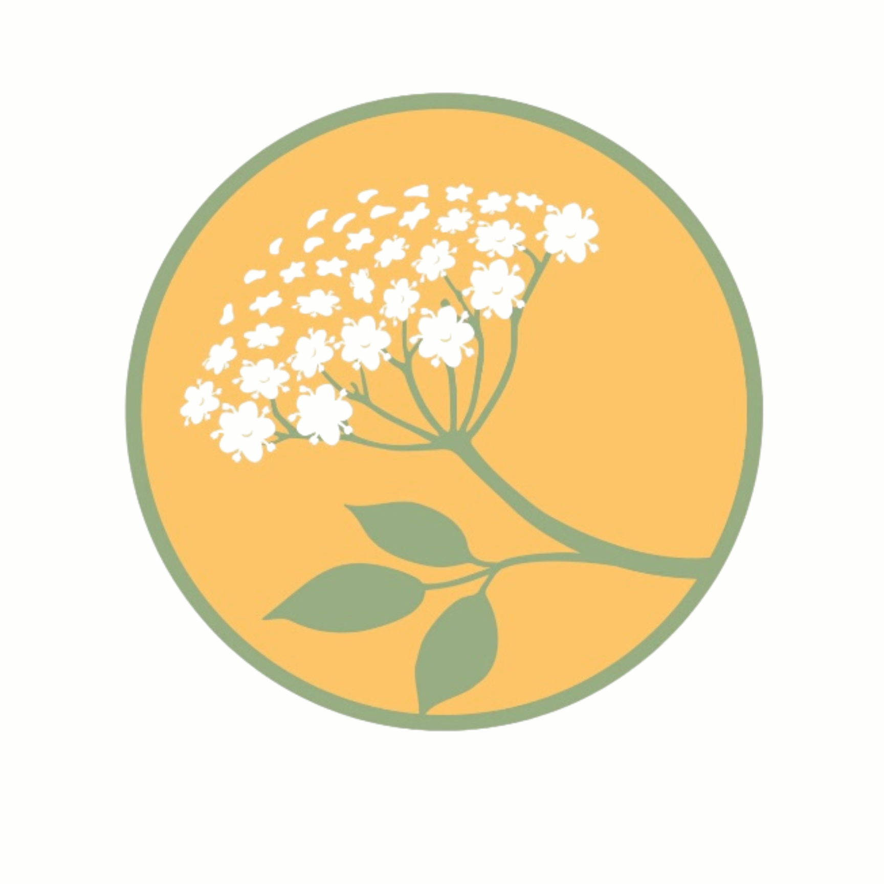 Elderflower Care Community