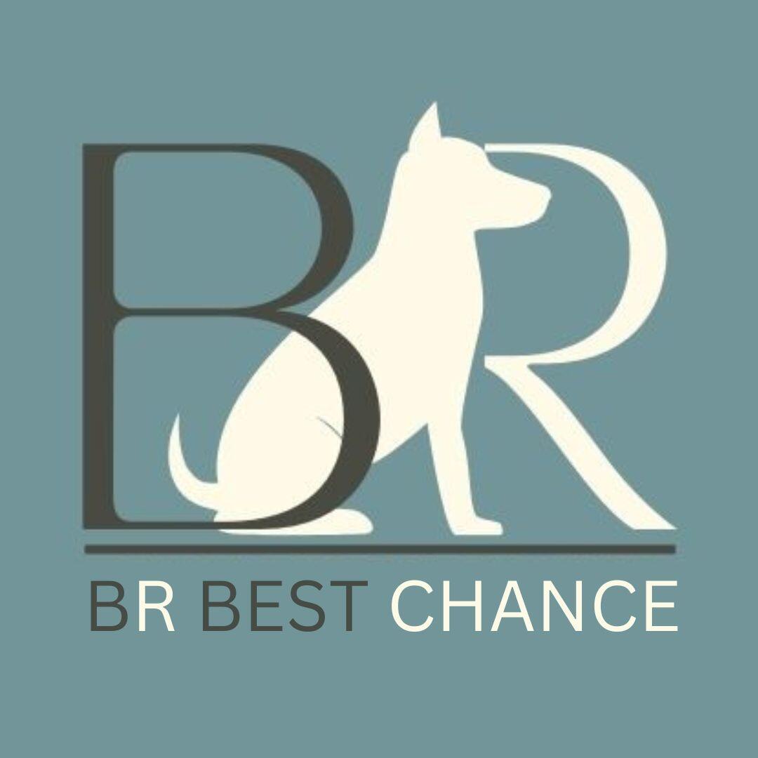 BR Best Chance