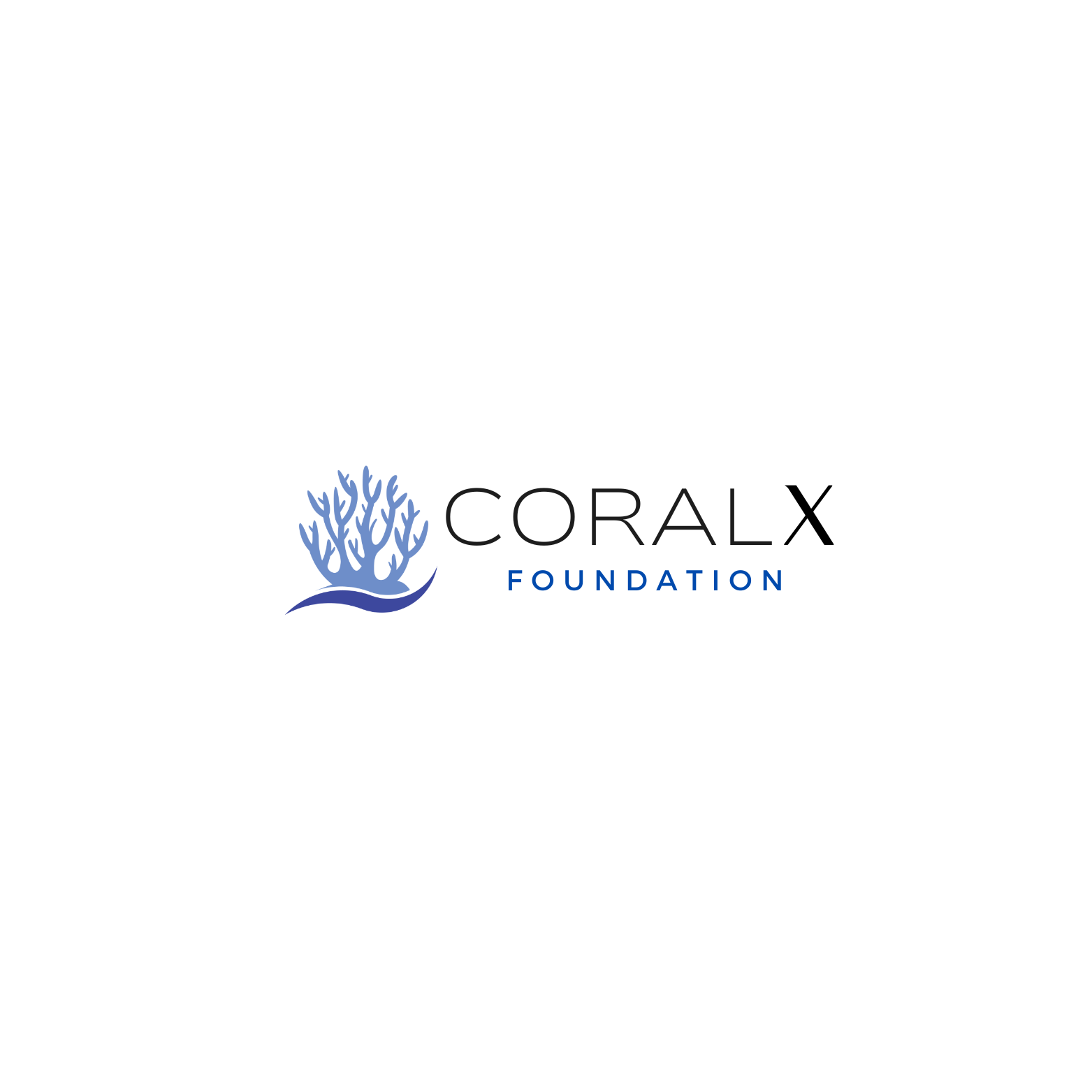Coralx Foundation Inc